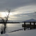 04.Территория.Ландшафты
